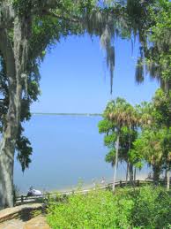 We focus on providing great customer service for your property, preventing all insects and pests in the area. Philippe Park Safety Harbor Florida This Is Where Phil And I Got Married It Is Such Beautiful Place Florida Attractions Safety Harbor Beautiful Places
