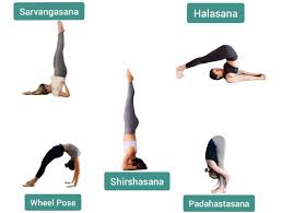 Stretching won't change the bone so let's forget about trying to increase our overall height by more than 3% of what we are at right now. Increase Height Naturally 101 Diet Exercise And Factors Fitzabout