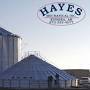 Hayes Mechanical from hayesmec.com