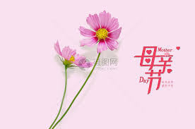 But don't forget about your origin. æ„Ÿæ©æ¯äº²èŠ‚å›¾ç‰‡ç´ æ æ­£ç‰ˆåˆ›æ„å›¾ç‰‡500357837 æ'„å›¾ç½'