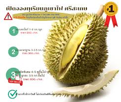 วันจันทร์ ที่ 9 กรกฎาคม พ.ศ. à¸— à¹€à¸£ à¸¢à¸™à¸  à¹€à¸‚à¸²à¹„à¸Ÿ à¸¨à¸£ à¸ªà¸°à¹€à¸à¸© Home Facebook