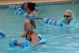 Fall 2024 The View Newsletter