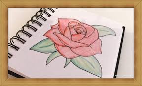 Bunga mawar memang bunga yang cantik dan karismatik sehingga kerap dipilih untuk berbagai keperluan yang membutuhkan keindahan. Sketsa Anggrek Sketsa Menggambar Bunga