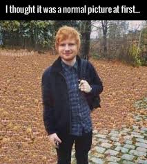 What Is This Works That We Live In Someone Woke Up Over Morning Saying Oh I M Going To Put Ed Sheeran S Face All Over His Lawn Humor Funny Pictures Laugh