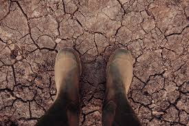 First we calculate pore water velocity according to: Soil Erosion Science Experiment Clearway Community Solar