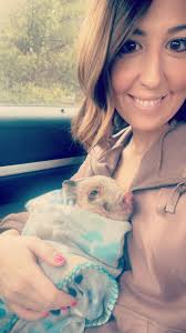 Wow! We have 300 new members! Everyone please welcome them! New members,  please post an intro and a photo of your pig here! 💙🐖💙 Jenn Thompson,  Edwin J Nkhoma, Bridget Gamache, Jennifer