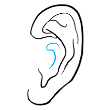 An earing loops and from this view, you should see a backside from the other side of the earring. How To Draw An Ear Really Easy Drawing Tutorial