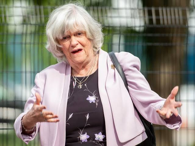 Ann Widdecombe says science may 'produce an answer' to being gay | Ann  Widdecombe | The Guardian