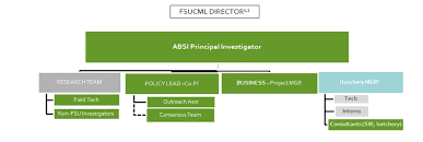 Fsucml Organizational Structure Coastal And Marine Laboratory