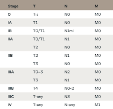 Image result for Breast Cancer Staging
