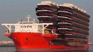 This Is A Ship Shipping Shipping Ship Shipping Shipping Ships Meme