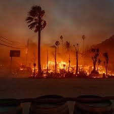 How to Help or Donate to Victims of the California Wildfires