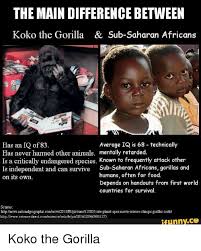 We did not find results for: The Main Difference Between Koko The Gorilla Sub Saharan Africans Aerage Iq Is 68 Technically Has An Iq Of 83 Has Never Harmed Other Animals Mentally Retarded Is A Critically Endangered Species