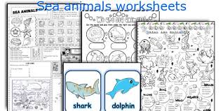 Sea Animals Worksheets