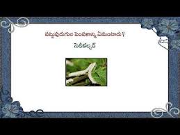 In this article, we are going to present you with a long list of general knowledge quiz questions that you have been looking for. 15 Telugu Gk Ideas In 2021 Telugu This Or That Questions General Knowledge