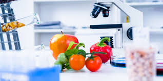 What Can You Do With A Master S Degree In Nutrition Science Edx Blog