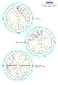 Draconic Composite Astrogarden