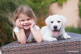 When our females go in labor, we are right there with them, and every puppy is handled from birth. Pure Breed Akc Lab Breeder In Scottsdale Arizona Posts Facebook