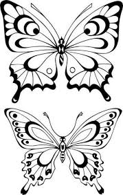 Butterfly Drawing In 2020 Butterfly Outline Butterfly Printable Butterfly Template