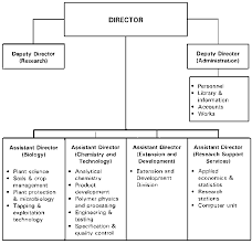 20 Scientific Starbucks Organizational Structure Chart