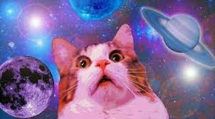 Jeden tag werden tausende neue, hochwertige bilder. Pin By Alex On Relatable Meme Funny Cat Wallpaper Cat Wallpaper Space Cat