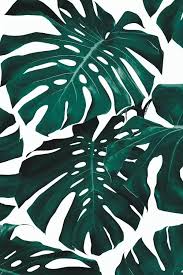 This free c2c monstera leaf crochet pattern is part of a collaboration with lion brand yarns. Monstera Leaf Pattern Art Print By Sisi Seb Icanvas