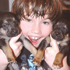 Foster : Great Dog Rescue New England