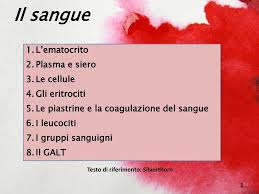 Risultati immagini per eritrociti