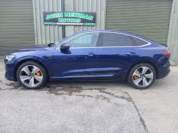 Image result for Navarra Blue 2021 E-Tron