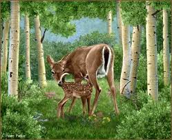 Pin By I T On Illustrations Animals 1 Penny Parker Deer Artwork Wildlife Art