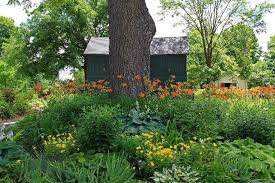 Plants that like shade and look good. An Attractive Selection Of Shade Tolerant Perennials Under A Mature Download Scientific Diagram