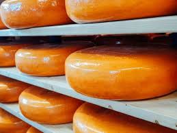 Afbeeldingsresultaat voor dineke van es verwoeste steden