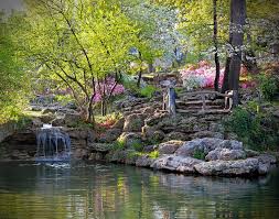 The willow tree flowers come stand upright on the twigs and blossom before and with the leaves. Park History Tulsa Garden Center