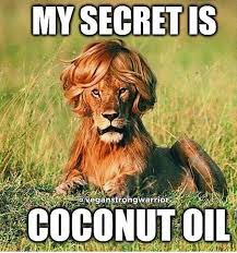 I Ll Be There In A Minute Just Fixing My Hair Funny Animal Jokes Funny Dog Memes Funny Animal Quotes