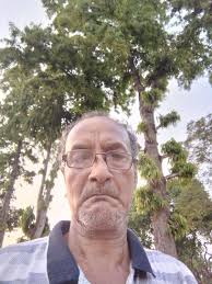 🌿🦋 This Moth Looks Like Two Flies Eating! 🤯 At first glance, this moth  looks like it has two tiny flies feasting