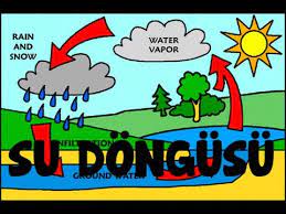 su dongusu animasyonu 14276002 youtube cocukluk erken cocukluk animasyon