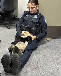 Last night, a few of our...