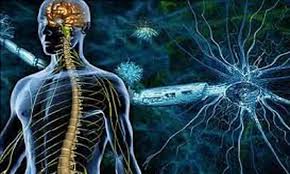 Ms causes gradual destruction of myelin (demyelination) and breakdown of neuronal axons throughout the brain and spinal cord. Blood Test May Predict Prognosis Of Patients With Multiple Sclerosis