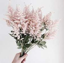 Minimal Bedrooms Again Homey Oh My Pretty Flowers Flowers Astilbe Bouquet