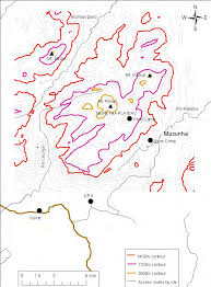 Image result for Erianthemum schelei