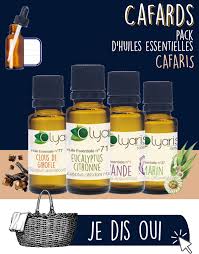 Repulsif Anti Cafards Les Huiles Essentielles A Utiliser Par Olyaris En 2020 Huiles Essentielles Huile Anti Cafard