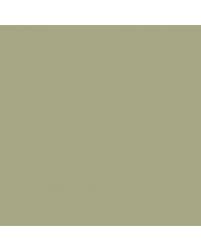 Image result for Sycamore Green 2007 Q7