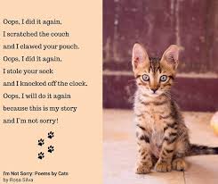 I M Not Sorry Poems By Cats Cat Poems Cats Funny Poems