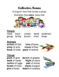 Collective Nouns Anchor Chart