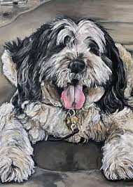 Dog & Cat Days of Summer