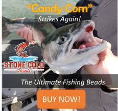 Live River Cams – Fishing The Cowlitz River