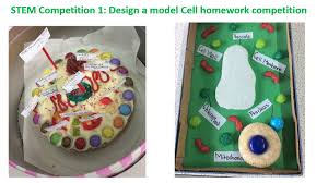 A cell is the basic unit of life. Cma Science On Twitter Homework Competition For All Year Groups Produce A 3d Model Cell Which Is Fully Labelled Cells Will Be Judged By The Science Department Prizes Awarded For Most Scientific