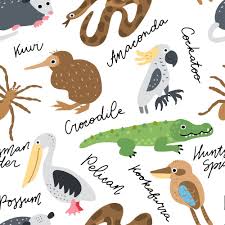 My Australia Animals Clipart In 2020 Animal Clipart Australia Animals Clip Art
