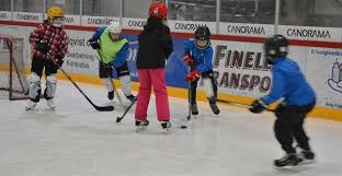 The arena has about 100 seats. Ishockeydag I Pedersoreskolor