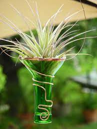 Air Plant Holder Recycled Bottle Green Glass Bottles Art Glass Bottle Diy Recycled Glass Bottles